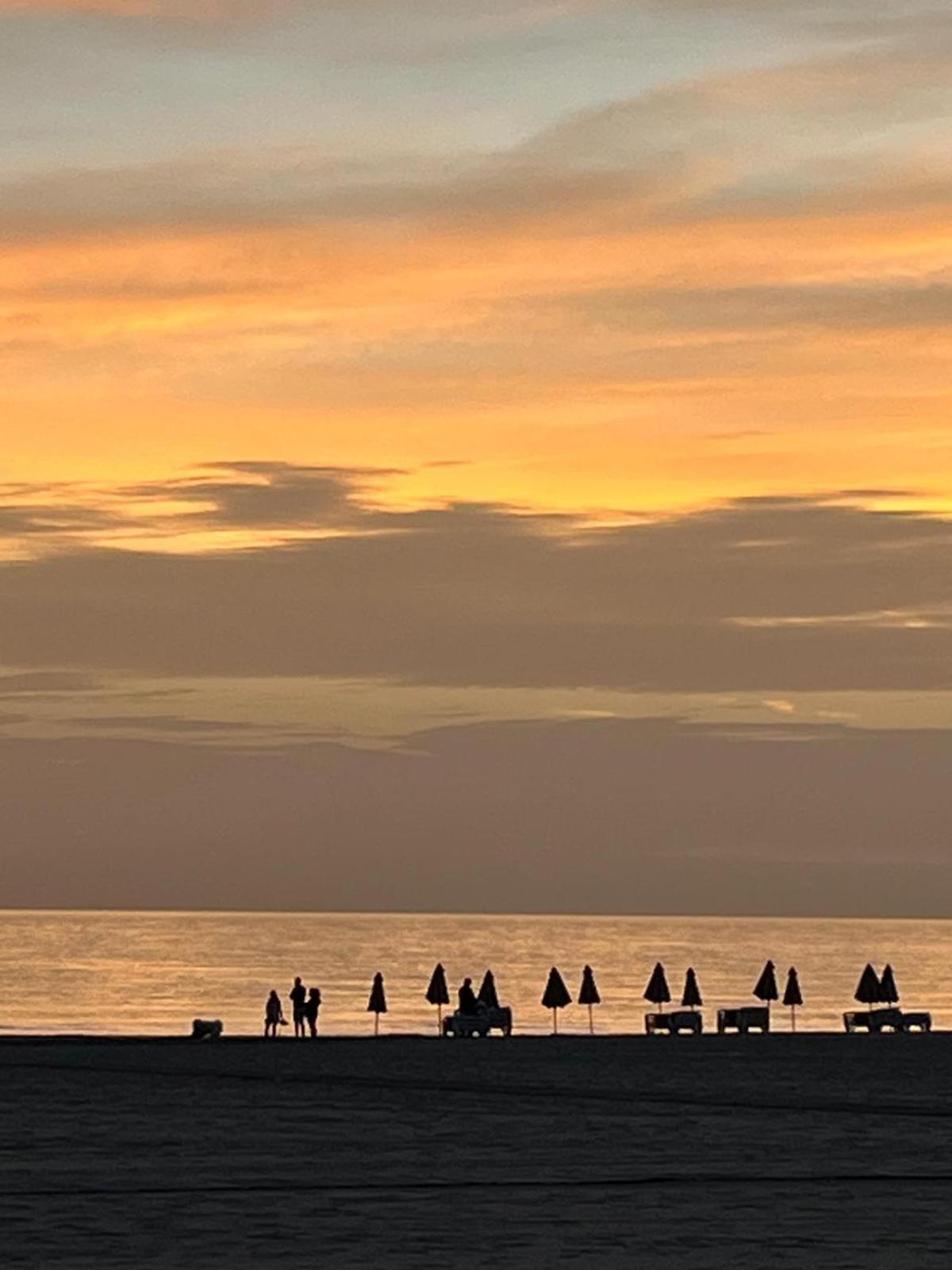 Bacarola Daire Playa de Gandia Dış mekan fotoğraf